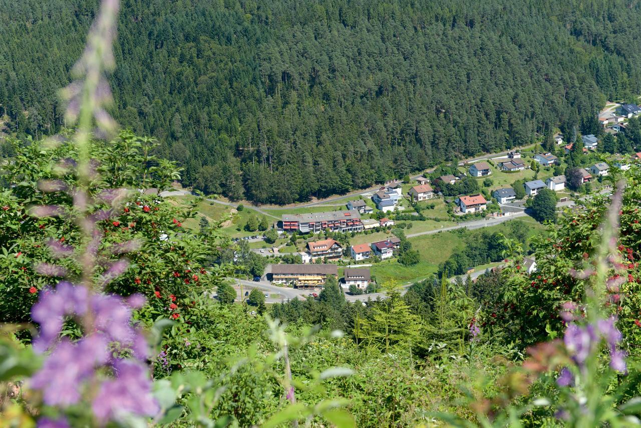 Hotel Waldlust Baiersbronn Exterior foto